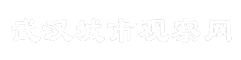 武汉城市观察网